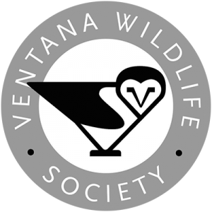 Ventana Wildlife Society
