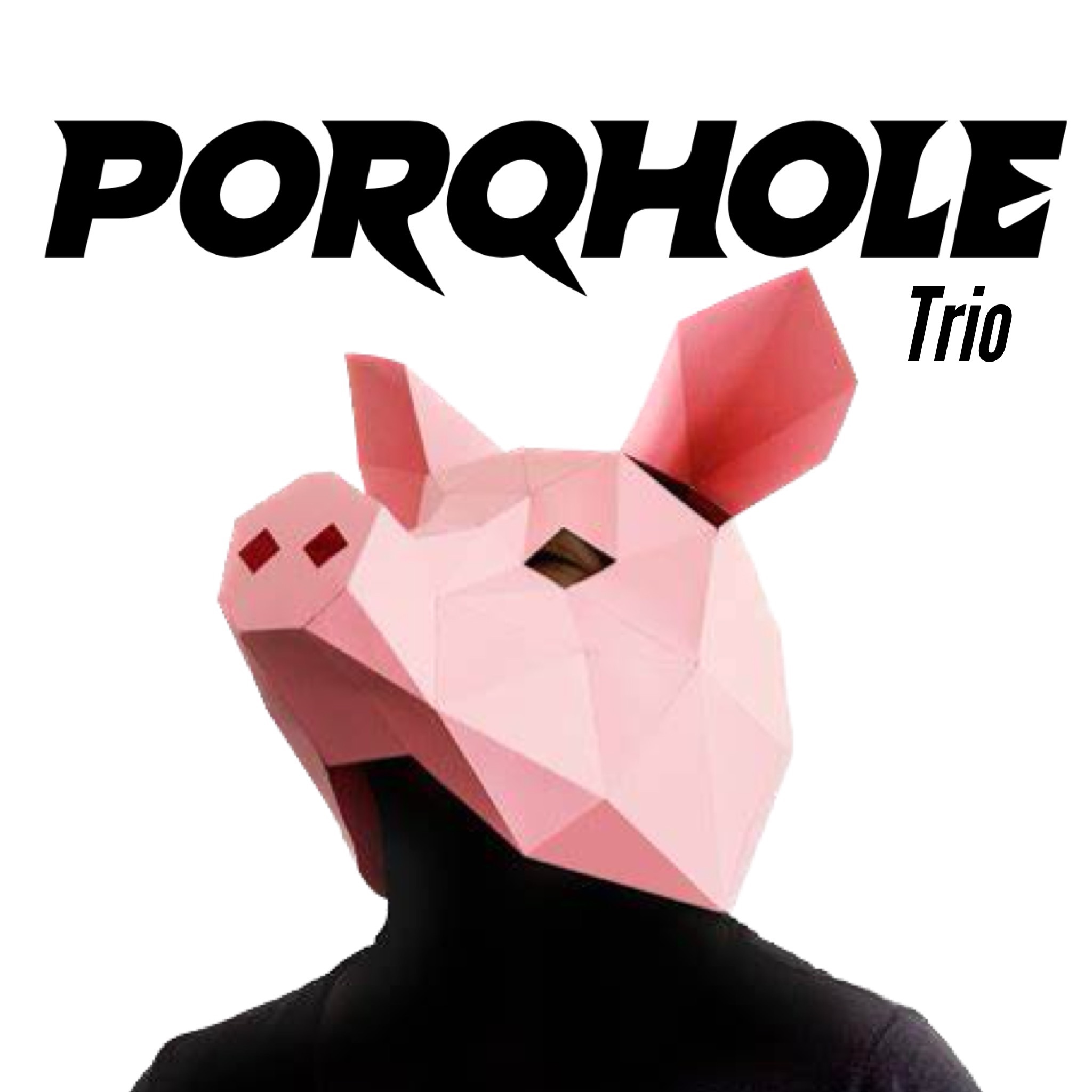 porqhole